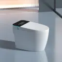 Smart Toilet